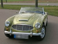 gebraucht Austin Healey 100/6 BN4 2+2 Sitzer Vollrestauration