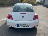 gebraucht VW Beetle 1.2 TSI -