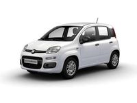 Neu Fiat Panda 69 PS (50 kW) 2025 Gelato Kleinwagen