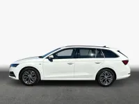Gebraucht Skoda Octavia Ambition 116 PS (85 kW) 2023 Candyweiss Kombi