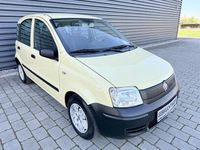 Gebraucht Fiat Panda Active 54 PS (39 kW) 2009 Beige Kleinwagen