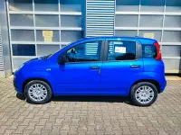 Neu Fiat Panda Icon 65 PS (47 kW) 2026 Blau Kleinwagen