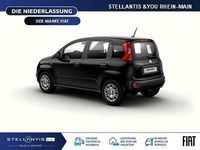 Neu Fiat Panda Icon 65 PS (47 kW) 2026 Rot Kleinwagen
