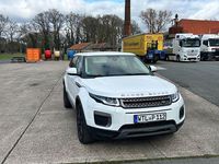 Gebraucht Land Rover Range Rover evoque Pure 150 PS (110 kW) 2016 Weiß SUV