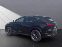 Neu Lexus NX350h Executive Line 243 PS (178 kW) 2025 Grün SUV