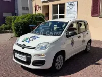 Gebraucht VW Polo Trendline 69 PS (50 kW) 2013 Andere Kleinwagen