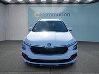 Nowe Skoda Kamiq 150 KM (110 kW) 2025 Szary SUV