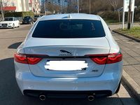 Używany Jaguar XF R 300 KM (220 kW) 2017 Biały Sedan/Limuzyna