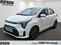Neu Kia Picanto Vision 68 PS (50 kW) 2025 Weiß Kleinwagen