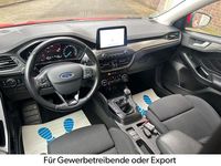 Gebraucht Ford Focus Titanium 150 PS (110 kW) 2019 Rot Limousine