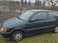 Gebraucht VW Polo 50 PS (36 kW) 1997 Grün Kleinwagen