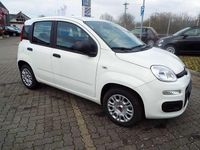 Neu Fiat Panda S 69 PS (50 kW) 2025 Weiß Kleinwagen