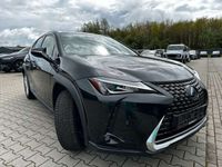 gebraucht Lexus UX 250h Business