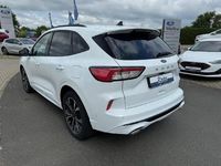 Gebraucht Ford Kuga ST-Line 150 PS (110 kW) 2024 Frostweiß SUV
