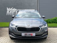 Gebraucht Skoda Octavia Style 150 PS (110 kW) 2023 Grau (graphite grau) Kombi