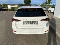 Gebraucht Skoda Octavia Style 116 PS (85 kW) 2023 Weiß Kombi