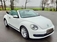 gebraucht VW Beetle 1.2 TSI BMT Cabriolet -