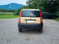 Gebraucht Fiat Panda 54 PS (39 kW) 2010 Gelb Kleinwagen