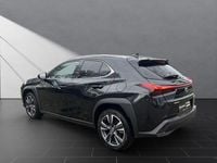 Gebraucht Lexus UX 250h 184 PS (135 kW) 2023 Schwarz SUV
