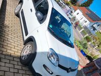 Gebraucht Fiat Panda 69 PS (50 kW) 2023 Weiß Kleinwagen