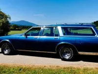 Gebraucht Buick Electra 141 PS (103 kW) 1990 Blau Kombi
