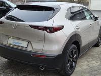 Neu Mazda CX-30 140 PS (102 kW) 2025 Braun SUV