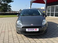 Gebraucht Fiat Punto Pop 69 PS (50 kW) 2014 Grau Kleinwagen