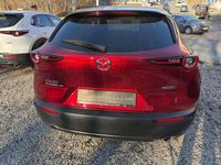 Gebraucht Mazda CX-30 122 PS (89 kW) 2019 Soul red crystal m SUV