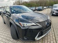 gebraucht Lexus UX 250h Hybrid Luxury Line