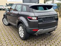 Gebraucht Land Rover Range Rover evoque Pure 150 PS (110 kW) 2017 Grau SUV
