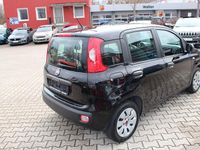 Gebraucht Fiat Panda Pop 69 PS (50 kW) 2015 Schwarz Kleinwagen