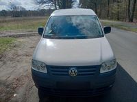 Gebraucht VW Caddy 75 PS (55 kW) 2005 Weiß Van / Kleinbus