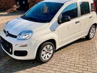Gebraucht Fiat Panda 70 PS (51 kW) 2016 Weiß Kleinwagen