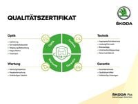 Gebraucht Skoda Octavia 150 PS (110 kW) 2026 Graphitegrau metallic Kombi