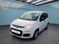 Neu Fiat Panda 65 PS (47 kW) 2026 Weiß Kleinwagen