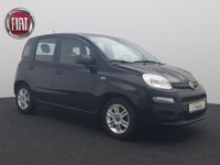 gebraucht Fiat Panda 1.2 Pop