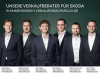 Neu Skoda Kamiq 116 PS (85 kW) 2026 Silber SUV