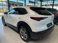 Gebraucht Mazda CX-30 Selection 122 PS (89 kW) 2019 Weiß SUV