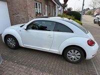 Gebraucht VW Beetle Allstar 105 PS (77 kW) 2017 Weiß Kleinwagen