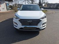 Gebraucht Hyundai Tucson 116 PS (85 kW) 2020 Weiß SUV