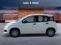 Neu Fiat Panda 69 PS (50 kW) 2025 Weiß Kleinwagen