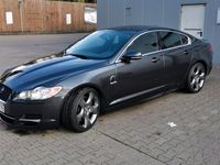 gebraucht Jaguar XF 3.0 D S Performance 75 Jahre als Pace Modell