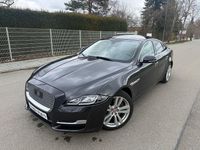 Gebraucht Jaguar XJ Portfolio 300 PS (220 kW) 2017 Grau Limousine