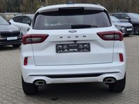 Neu Ford Kuga ST-Line 186 PS (136 kW) 2026 Weiß SUV