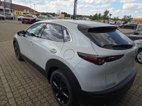 Neu Mazda CX-30 Nagisa 140 PS (102 kW) 2025 SUV