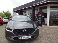 Gebraucht Mazda CX-30 Selection 122 PS (89 kW) 2019 Grau SUV