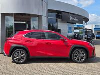 Neu Lexus UX 300h Sport Design Packet 199 PS (146 kW) 2025 Glutrot SUV