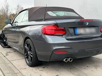 gebraucht BMW 220 i, Cabrio, M Paket