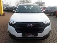 Neu Subaru Forester Trend 136 PS (100 kW) 2026 Weiß SUV