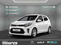 gebraucht Kia Picanto Vision Navi Klimaautomatik LenkradHZG SHZ